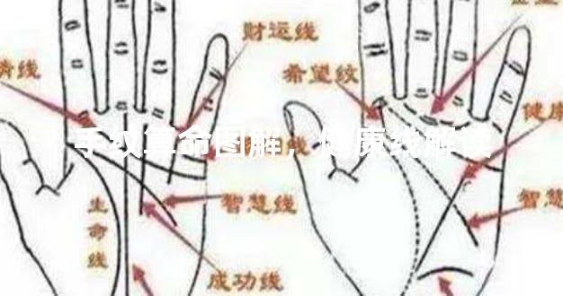 手纹算命图解，健康线解读