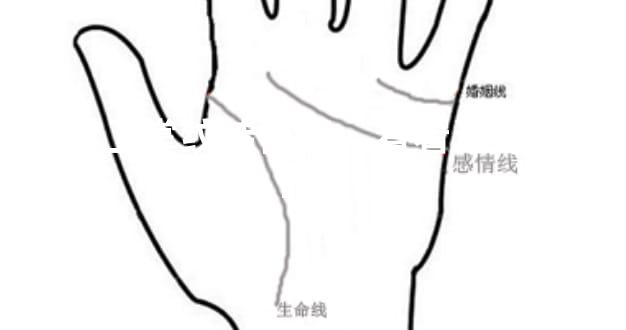 中指上掌纹特征多，看看这些代表什么