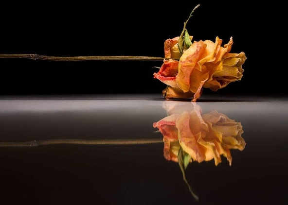 你的孩子面相是这样 长大很有福分