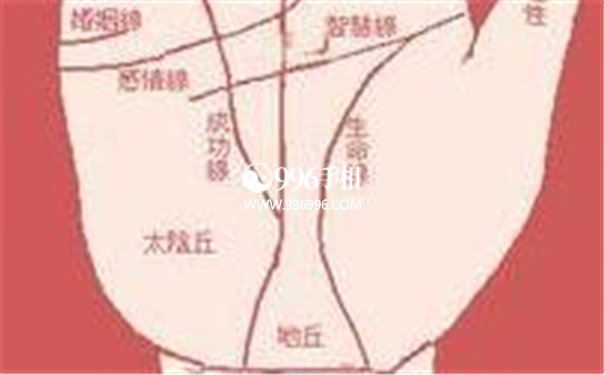 魅力爆棚的手相