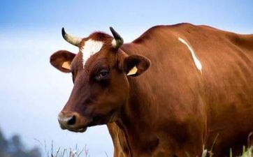 今天是理发好日子吗 2024年阴历九月初五日子合适理发吗?