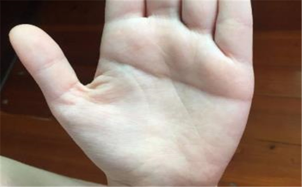 断掌手相图图解