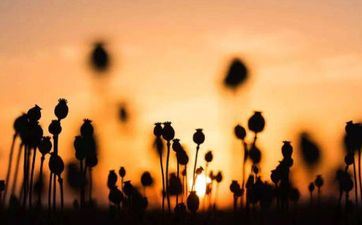 2024年阴历十月二十六宜搬公司吗