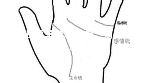 这些是简单越轨属相，期望我们记住了