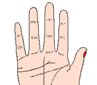 手相图解大全女 右手