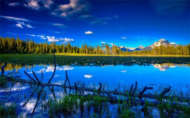 生辰八字起名软件