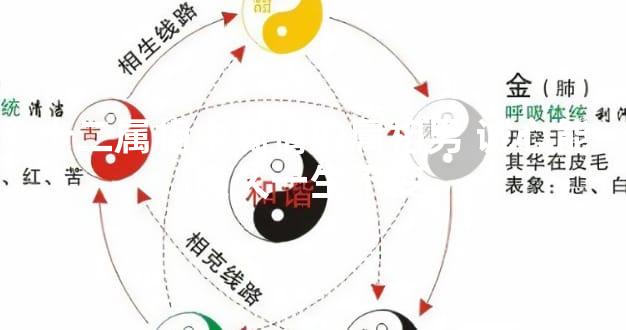 十二属相中痴情的属相男 诚心能好久一生不变