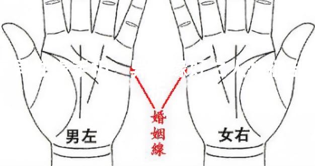 异性缘手相，异性缘好之人特征剖析