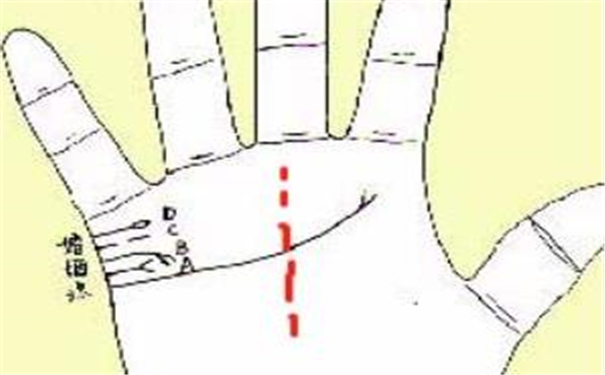 命运线中止又延伸