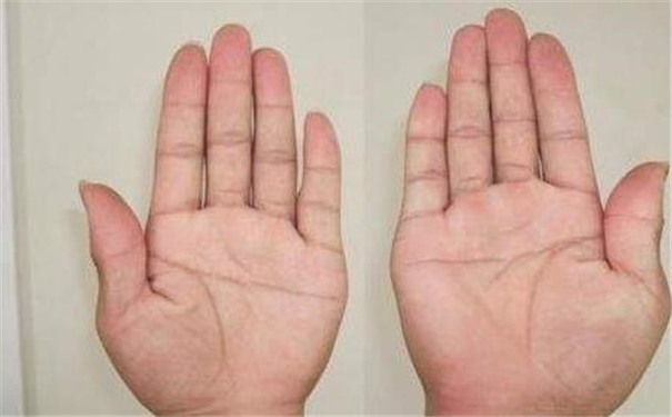 男人断掌手相图解