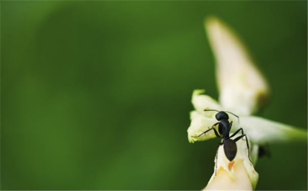 一事无成的面相