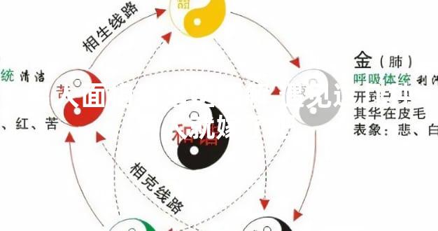 男人面相看婚姻图解 遇见这几种男人就嫁了吧