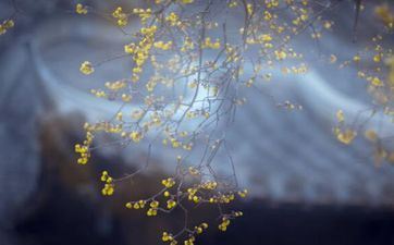 2024年立春躲春躲多长时间