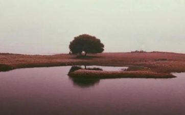 搬迁谢土好日子有哪些(搬迁谢土一般是晚上吗)