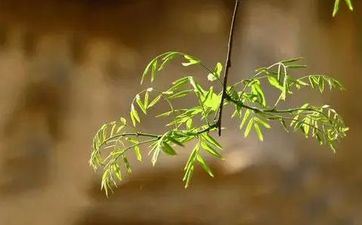 2024年躲春时刻和办法