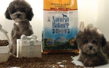 属相狗开业择日 2024年3月最好的倒闭日期