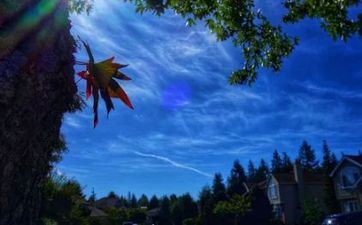 2024年惊蛰前后出世的牛宝宝好吗