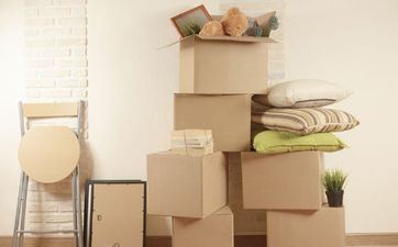 2024年5月属相狗入宅好日子吉时 2024年5月最佳搬迁日子 2024年5月属相狗入宅好日子吉时 2024年5月最佳搬迁日子