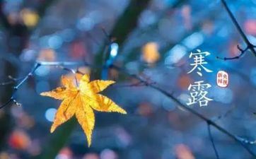 2023年10月8号开业好吗 阴历八月二十二寒露是黄道好日子吗