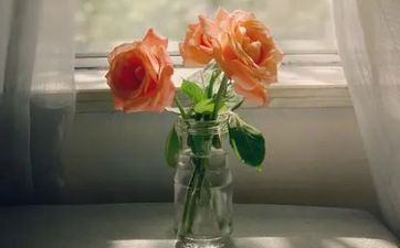 怎样挑选成婚的好日子(2024成婚好日子大全6月)