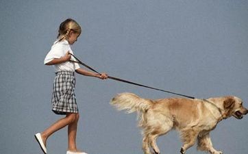 免费择吉：属相属狗人搬迁好日子2023年10月最佳时间