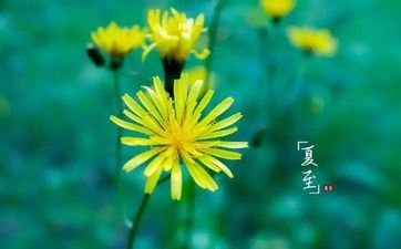 2024夏至日出时刻和日落时刻别离是多少？