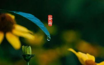 2024年谷雨宜开市吗 开业合适吗 2024年谷雨宜开市吗 开业合适吗