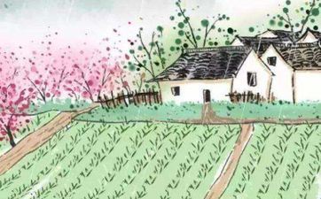 2024谷雨时节是什么时分