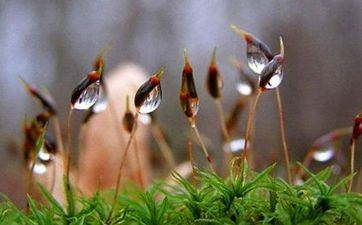 2024年有两个立春吗 是双春年吗