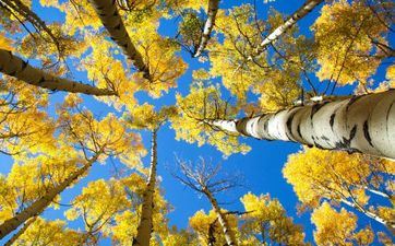 2024年4月份哪天合适理发 4月哪天理发好日子