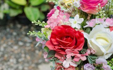 2024年3月14日白色情人节天搬迁好不好