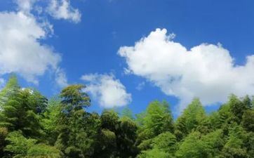 2024年5月5日立夏订亲好么 是最佳日期么