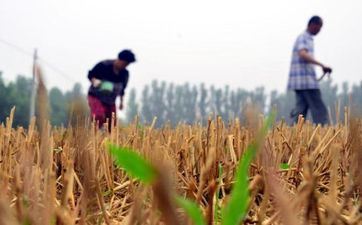 2024年夏至这天日子好吗 是黄道吉日吗?