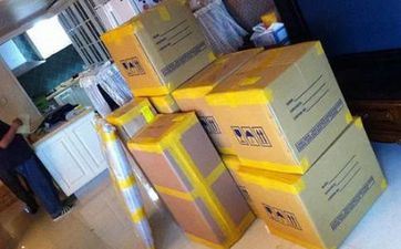 2023年属猪的搬迁好日子在什么时候