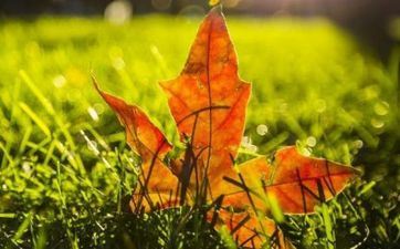 2024年8月7日立秋是搬迁搬迁吉利吗