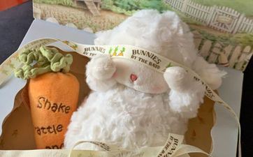 2023年适宜属羊搬迁的好日子相关内容