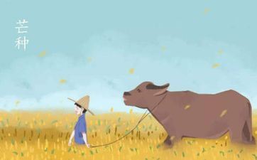 今日是开市好日子吗 2024年6月5日芒种能不能经营