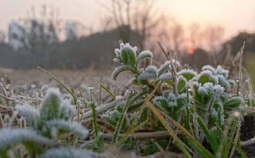 2024年惊蛰节气的温度统计表