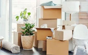 2024年11月23日是搬迁好日子吗？ 搬迁前要注意什么？