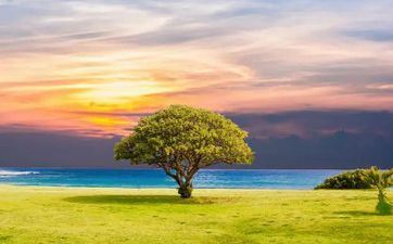 2024年立夏阴历什么时候 是什么星座星期几 2024年立夏阴历什么时候 是什么星座星期几