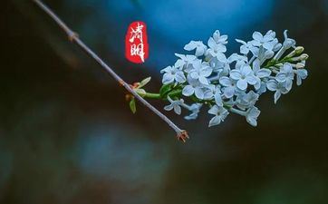 2024年清明节能上坟吗