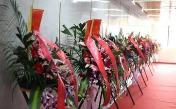 2023年下半年哪天合适搬迁搬迁 兔年搬迁好日子查询 2023年下半年哪天合适搬迁搬迁 兔年搬迁好日子查询