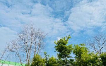 阴历5月修坟好日子有7天2024年