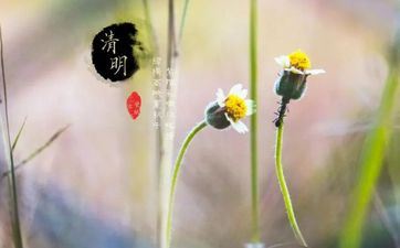 2024年清明节是星期几 2024年清明节是哪一天什么时候