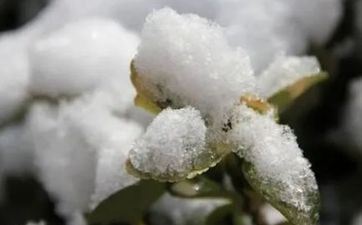 2024年4月19日谷雨是装饰开工好日子吗