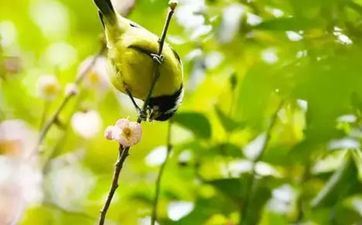 属兔人2023年最佳入宅好日子 属兔人2023年最佳入宅好日子