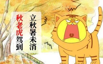 属虎人2023年搬迁好日子查询