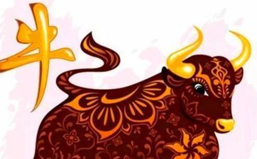 属牛人2024年11月领证最旺好日子查询