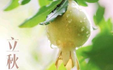 2024立秋后气候还热吗 2024立秋后气候还热吗