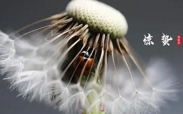 2024年惊蛰能够成婚吗